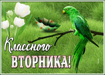 Картинка красивая открытка отличного вторника