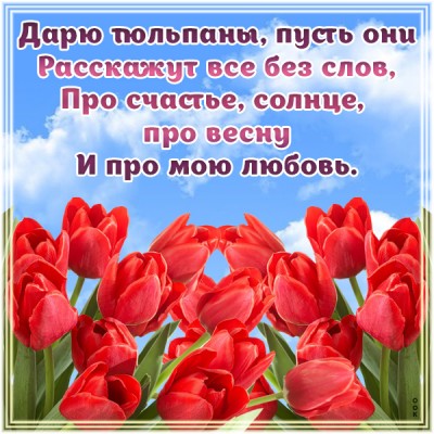 Открытка красные тюльпаны от всей души