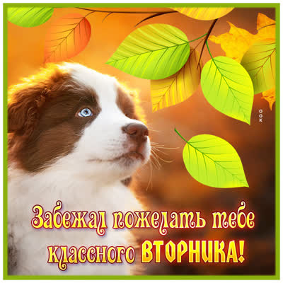 Postcard красочная картинка со вторником