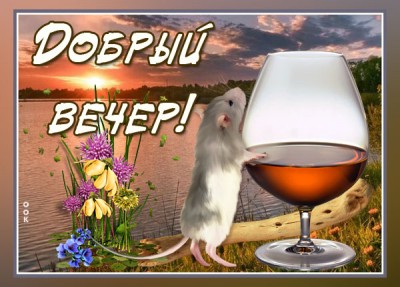 Картинка креативная картинка добрый вечер