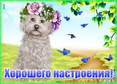 Картинка креативная картинка хорошего настроения