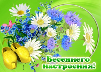 Картинка креативная картинка с ромашками