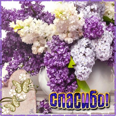 Открытка креативная картинка спасибо