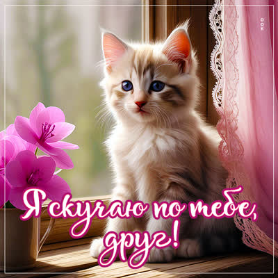 Picture креативная открытка я скучаю по тебе, друг