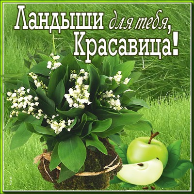 Открытка ландыши для настроения