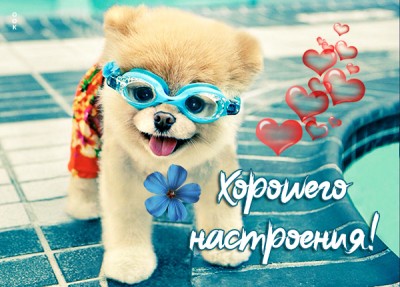 Картинка летняя открытка для настроения