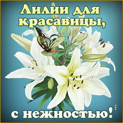 Открытка лилии для красавицы