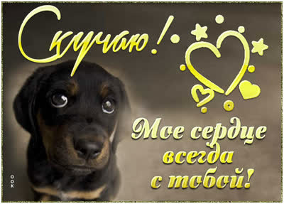 Picture магическая открытка скучаю
