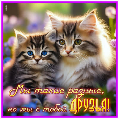 Picture магнетическая картинка мы с тобой друзья