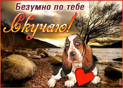 Postcard милая картинка безумно по тебе скучаю