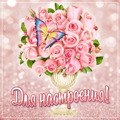 Картинка милая картинка для настроения