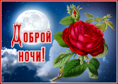 Postcard милая картинка доброй ночи