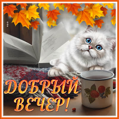 Postcard милая картинка добрый вечер