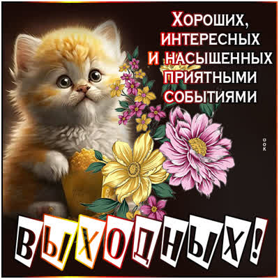Picture милая картинка интересных выходных