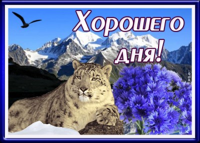 Открытка милая картинка хорошего дня