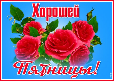 Открытка милая картинка хорошей пятницы