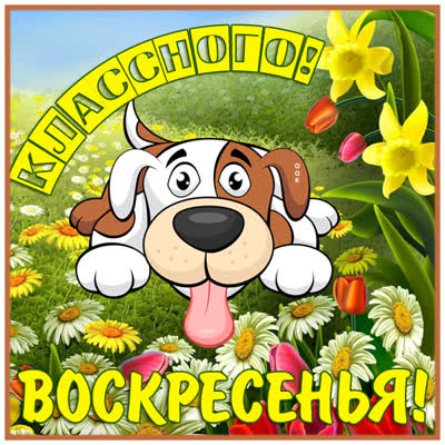 Postcard милая картинка классного воскресенья