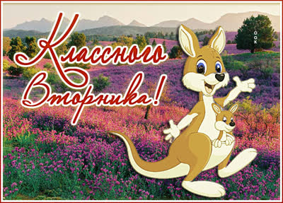 Picture милая картинка классного вторника