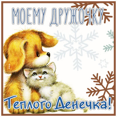 Postcard милая картинка моему дружочку теплого денечка