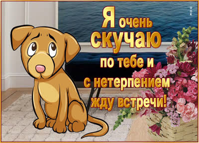 Postcard милая картинка очень скучаю