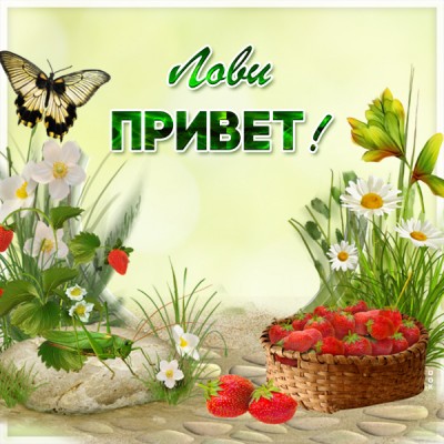 Картинка милая картинка привет