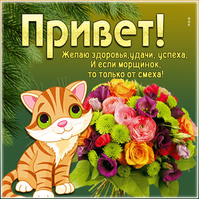 Picture милая картинка привет желаю успеха