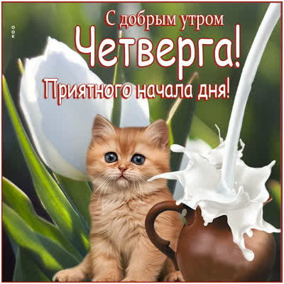 Postcard милая картинка приятного начала дня
