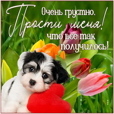 Picture милая картинка прости меня
