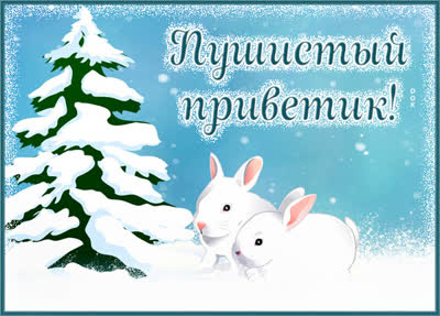 Postcard милая картинка пушистый приветик