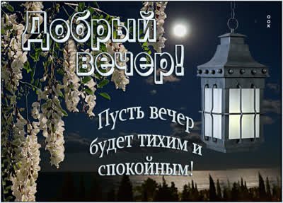 Postcard милая картинка пусть вечер будет тихим