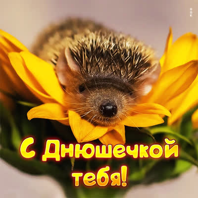 Postcard милая картинка с днюшечкой тебя