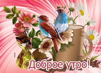 Картинка милая картинка с добрым утром девушке
