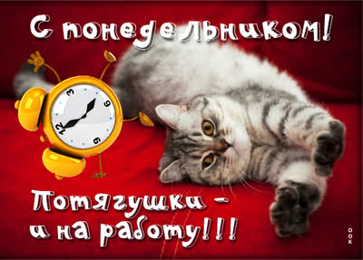 Postcard милая картинка с понедельником