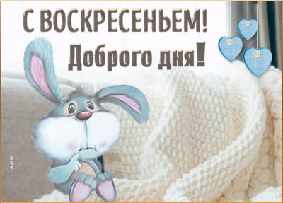 Postcard милая картинка с воскресеньем