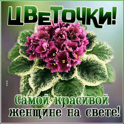 Postcard милая картинка самой красивой женщине на свете