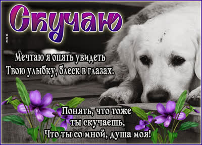 Postcard милая картинка скучаю