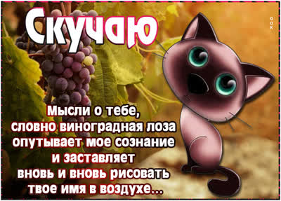 Postcard милая картинка скучаю твое имя в воздухе