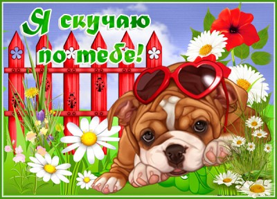 Картинка милая картинка скучаю