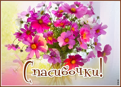 Postcard милая картинка спасибочки