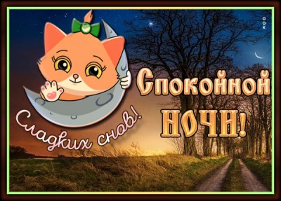 Картинка милая картинка спокойной ночи женщине