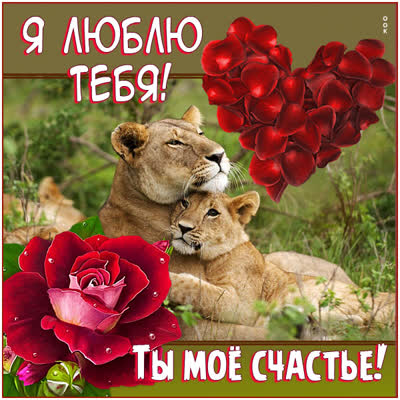 Postcard милая картинка ты мое счастье