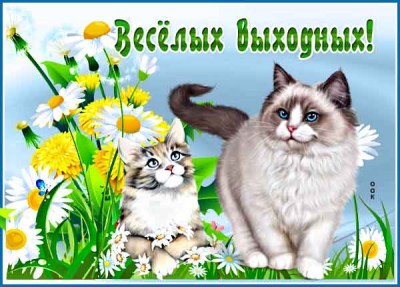 Картинка милая картинка уютных выходных
