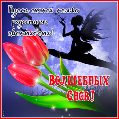 Postcard милая картинка волшебных снов