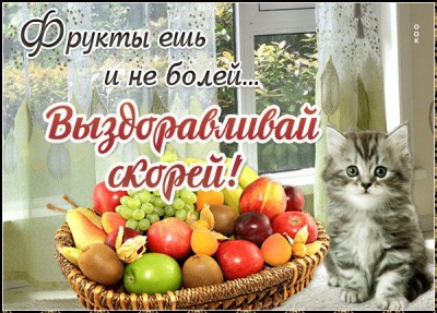 Открытка милая картинка выздоравливай