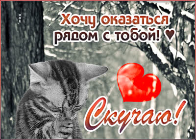 Postcard милая картинка хочу оказаться рядом с тобой