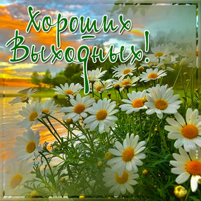 Picture милая картинка хороших выходных