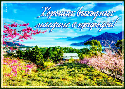 Picture милая картинка хороших выходных наедине с прирожой