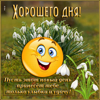 Postcard милая картинка хорошоего дня