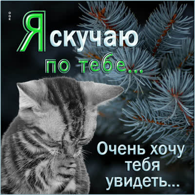 Postcard милая картинка я очень скучаю
