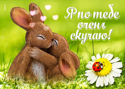 Picture милая картинка я по тебе очень скучаю